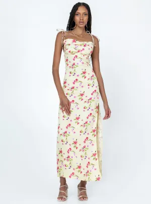 Arness Maxi Dress Yellow Floral Gender Inclusive
