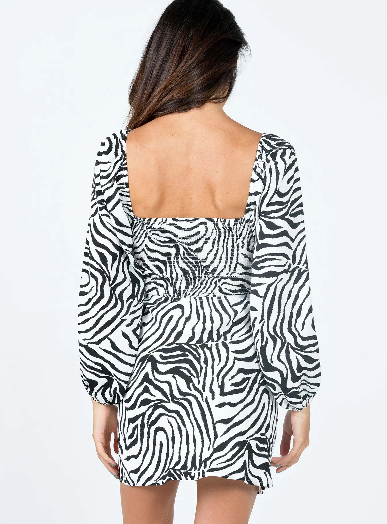 Casual Comfort Nakita Long Sleeve Mini Dress Zebra