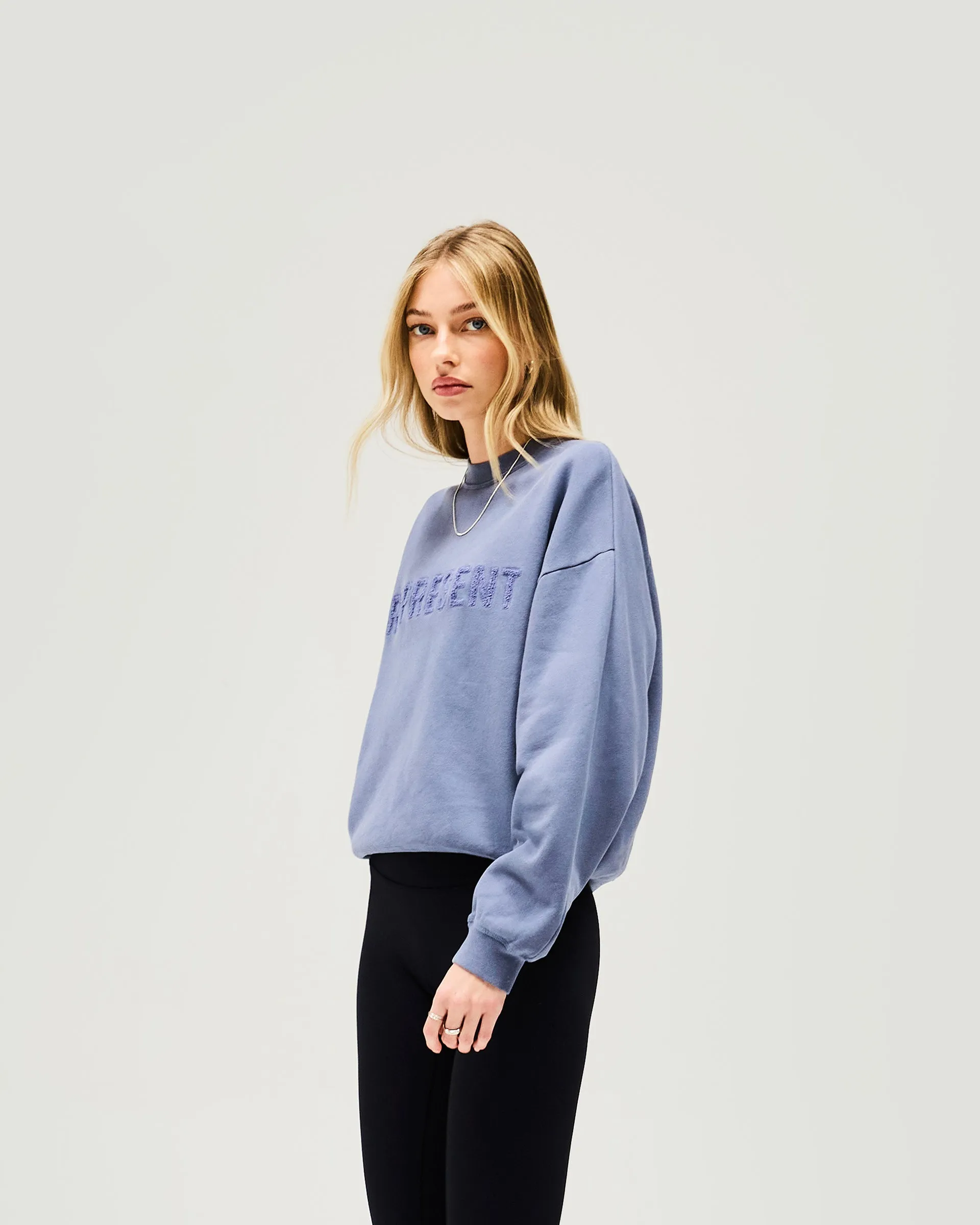 Cozy Trend Owners Club Sweater - Steel Blue
