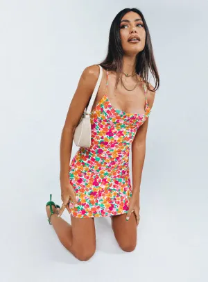 Elegant Motion Crisp Look Celena Mini Dress Rainbow Floral