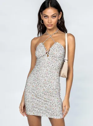 Kane Mini Dress Multi Balanced Light Pure Vibes