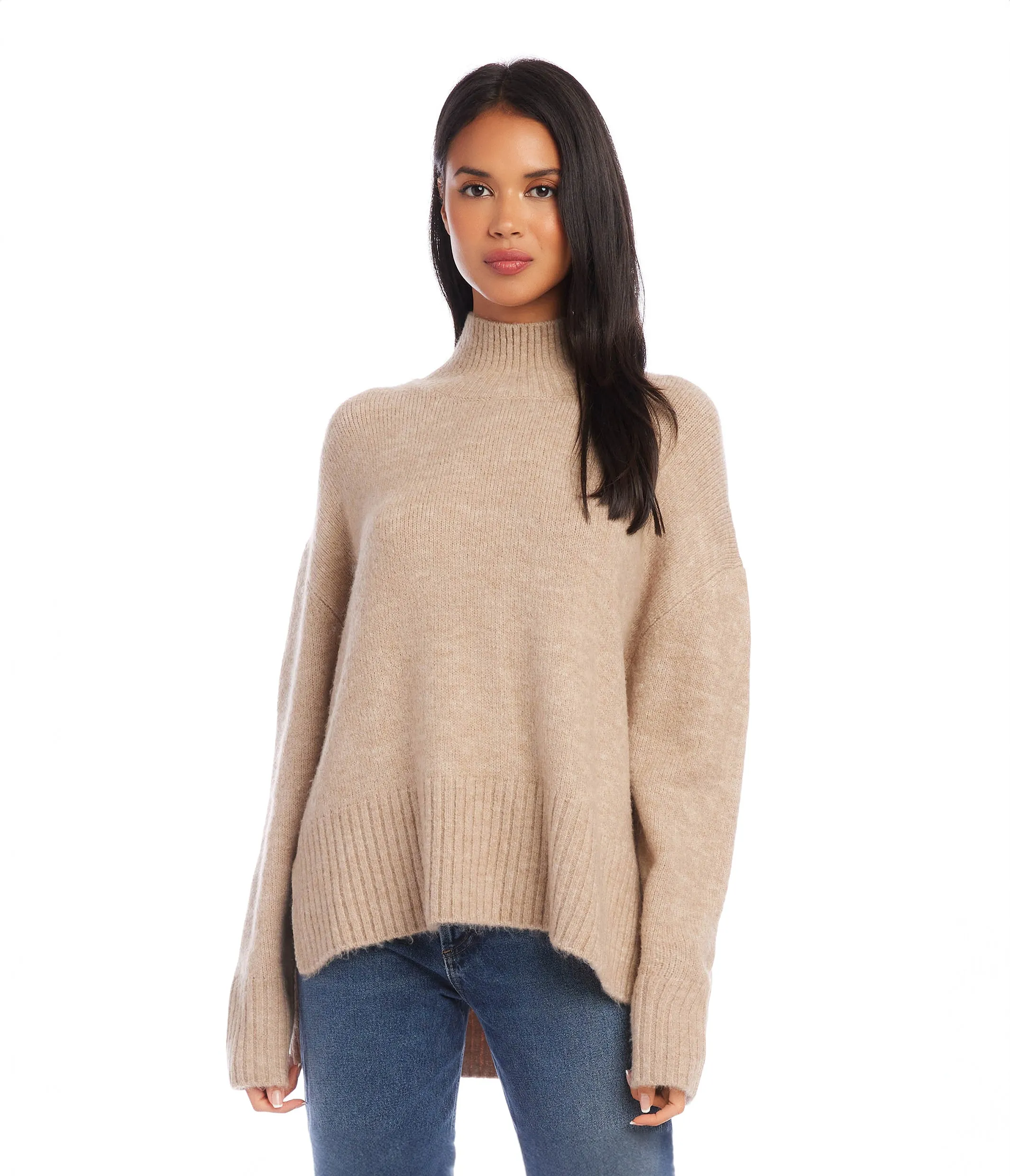 Neutral Style Turtleneck Sweater