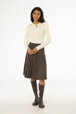 Brown Pleated Skirt Neutral Look